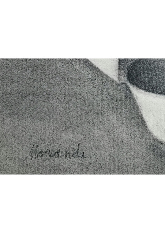 Giorgio Morandi